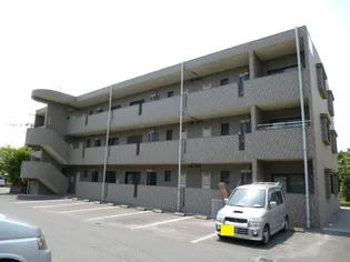 アメニティハウス藤元【3階】の外観