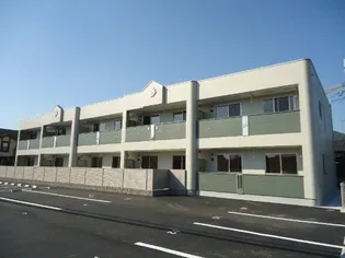 サザンクロスの画像