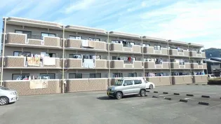 フルールMの画像