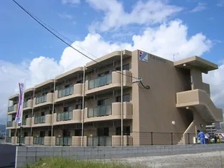 Y MコスモスIIの画像