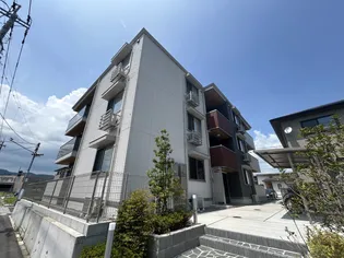 カサブランカの画像