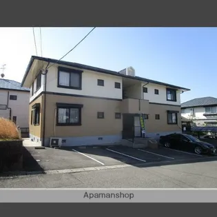 ハイカムールフローラの画像