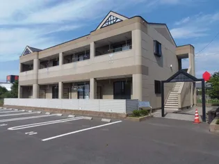 マロニエの画像