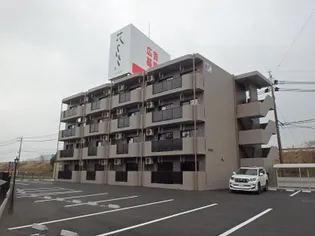 アマリリスの画像