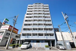 トーカンキャステール鹿児島駅前【1007号室】の外観