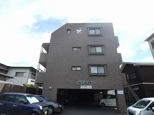 フェリーチェVの画像