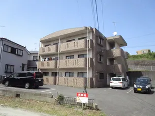 プティレカンIZUMIの画像