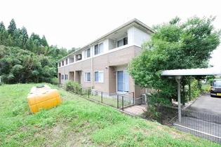 シャングリラの画像