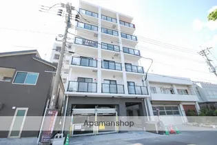イリスパイラブライトマリーナの画像