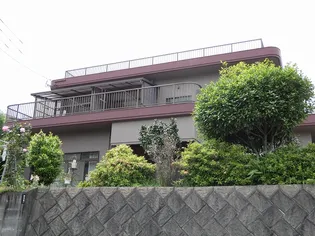 柳田ビル【0201号室】の外観