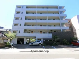 N マグノリアの画像