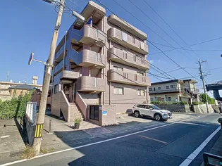 スピカ33の画像