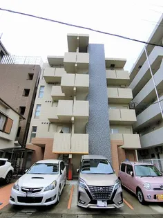 クレステッドFSの画像