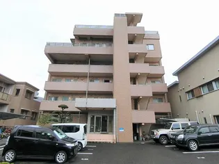 エスペランス薬師【0301号室】の外観