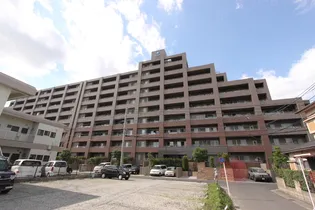 サーパスシティ紫原三丁目【0811号室】の外観