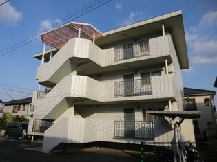 アムールパルの画像