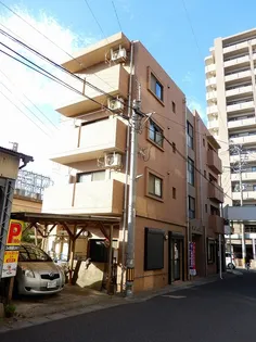 T MCORT白陽の画像