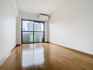 タウンパディ上之園【0502号室】の内装