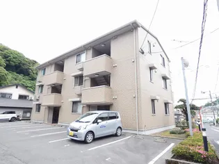 ヴァン マーガレットの画像