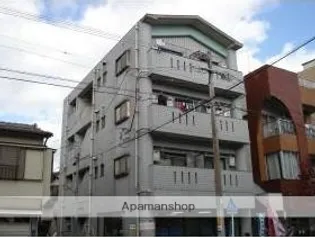 シャンボールマエダの画像