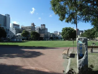 タウンパディ上之園【0205号室】の周辺