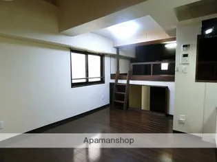 カレン照国【203号室】の内装