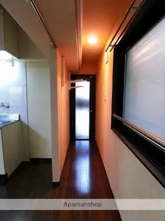 カレン照国【203号室】の内装