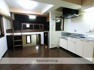 カレン照国【203号室】の内装