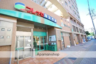 カレン照国【203号室】の周辺