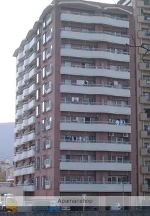 トーカン白雲の画像