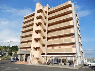 パームヒルズマンション【3階】の外観