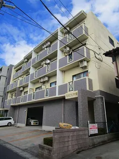 アムール戝部【3階】の外観