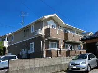 グレイスフルBの画像