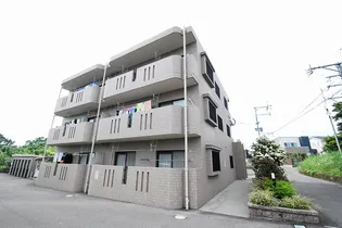 CASTLE SUNNY Aの画像