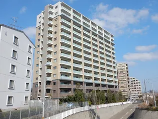 MJR唐湊の画像