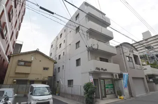 シルキーハイツ【502号室】の外観