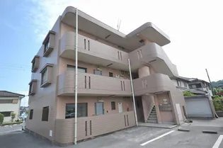 エバンジェルの画像