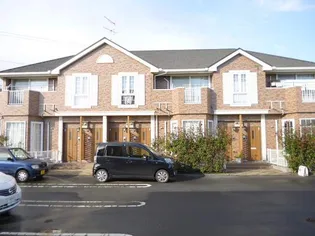 クリアネスY IIの画像