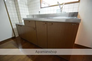 A Fプリベール【203号室】のキッチン