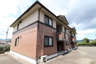 ウィルモアセゾンの画像