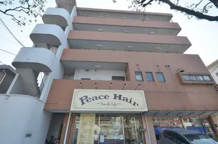 三宅ビル【401号室】の外観