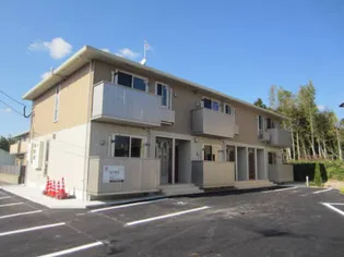 セントポーリアの画像