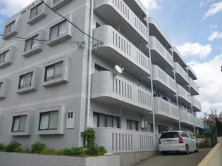 ドルチェ大竜の画像