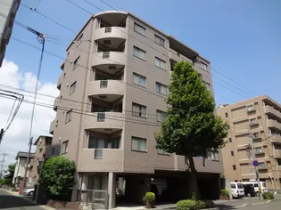 ビスタ ヴィラの画像