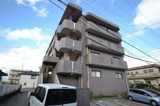 スピカ33の画像