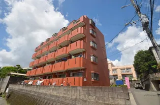 レインボー鴨池の画像