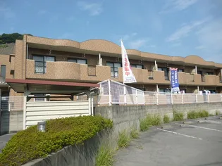 ドリームメゾン【203号室】の外観