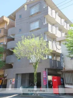 スカイフラワー3の画像