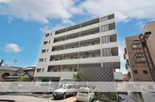 N マグノリアの画像