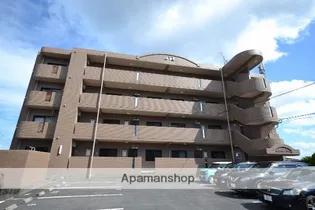 エスペランサ林の画像